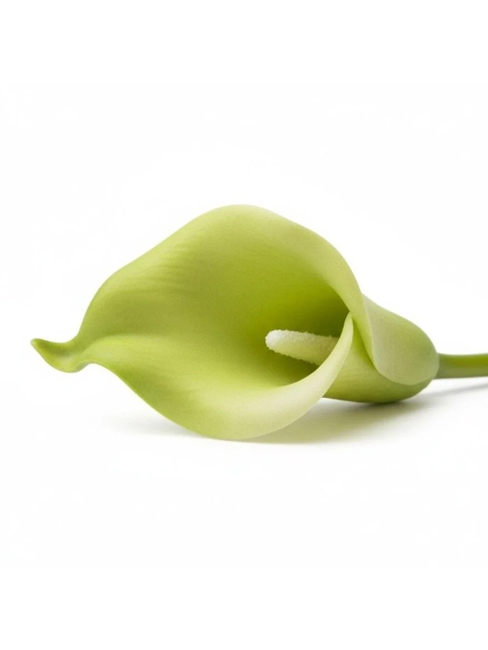 Artificial Green Calla Lily Stems, Real Touch Faux Flowers, 15 Inch, Set of 5